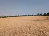 37+/- AC TBD Boller Rd. - Photo 15