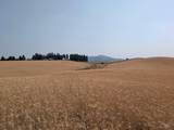 37+/- AC TBD Boller Rd. - Photo 16