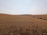 37+/- AC TBD Boller Rd. - Photo 18