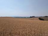 37+/- AC TBD Boller Rd. - Photo 19