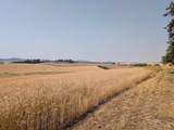 37+/- AC TBD Boller Rd. - Photo 6