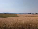 37+/- AC TBD Boller Rd. - Photo 7