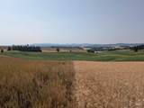 37+/- AC TBD Boller Rd. - Photo 8