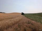 37+/- AC TBD Boller Rd. - Photo 9