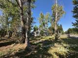 1215 Harrison Street - Photo 12