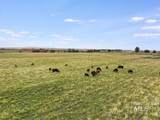 4045 1200 - Photo 11