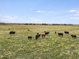 4045 1200 - Photo 12