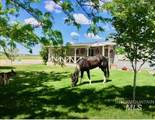 7001 Robinson Rd - Photo 46