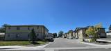 509-523 Rose St - Photo 10
