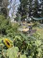 3175 Tomer Rd - Photo 2