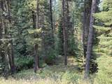 2 Snowbird Ln - Photo 5