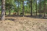 1910 East Mountain Rd - Photo 33