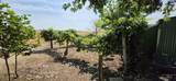 35892 North Rd - Photo 21