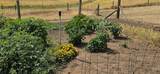35892 North Rd - Photo 23