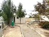 3626 Licorice Pl - Photo 3