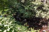 7715 Highway 12 - Photo 7