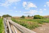 6500 10th Avenue - Photo 46