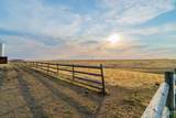32240 Highway 129 - Photo 43