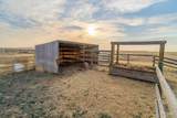 32240 Highway 129 - Photo 46