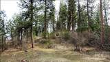 TBD Apple Wood Dr - Photo 8