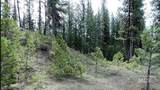 TBD Apple Wood Dr - Photo 10
