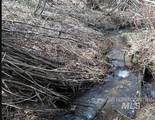 TBD Apple Wood Dr - Photo 14