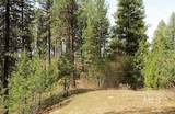 TBD Apple Wood Dr - Photo 17