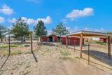 5530 Tower Lane - Photo 45
