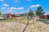5530 Tower Lane - Photo 46