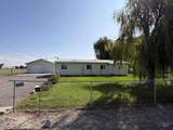 1203 Erlebach Way - Photo 13