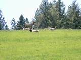  2000 Park Rd. - Photo 30