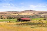 3099 Little Valley Road - Photo 39