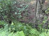 197 Scriver Woods Rd - Photo 41