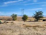 13786 Ditto Creek Road - Photo 14