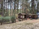 4 Lightning Creek  Circle - Photo 2