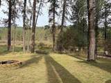 4 Lightning Creek  Circle - Photo 5