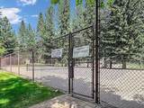 302 Mather Rd - Photo 13
