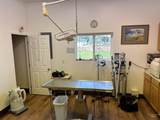 15 Veterinary Way - Photo 19