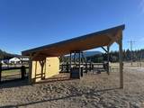 15 Veterinary Way - Photo 37