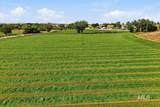 16921 Oasis Rd - Photo 46