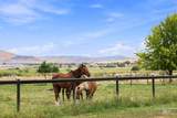 3817 Star Ln - Photo 14