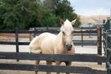 3817 Star Ln - Photo 42