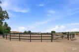 3817 Star Ln - Photo 44