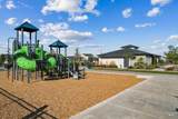 10288 Longtail Dr. - Photo 38
