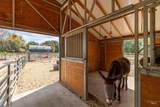 5224 Valley St - Photo 37