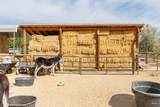 5224 Valley St - Photo 40