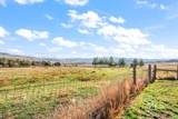 7025 Bluebird Lane - Photo 47