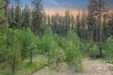 Lot 12 Shaw Gulch Road - Photo 4
