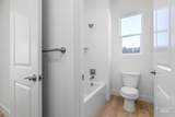 11184 Gladiola St - Photo 29