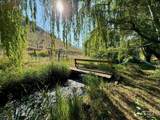 384 Race Creek Road - Photo 2